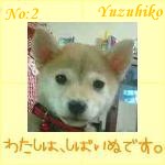 02-yuzuhiko
