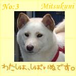 03-mitsukuni